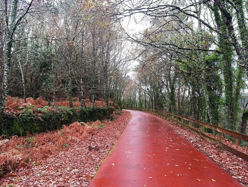 Landscape Architecture FG004